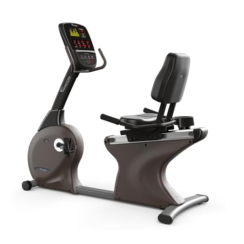 Vision Fitness Fahrradtrainer R60, 