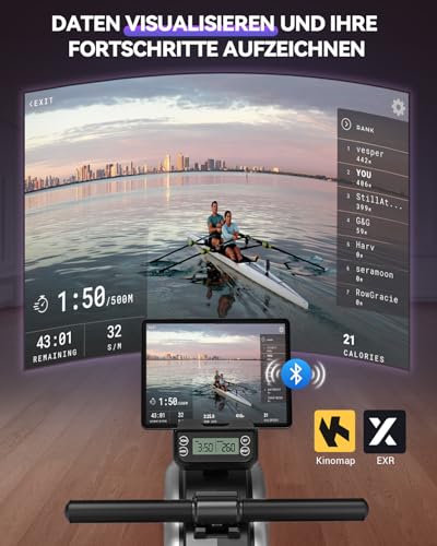 DMASUN Rudergerät für Zuhause, Magneti DMASUN Rudergerät für Zuhause, Magneti