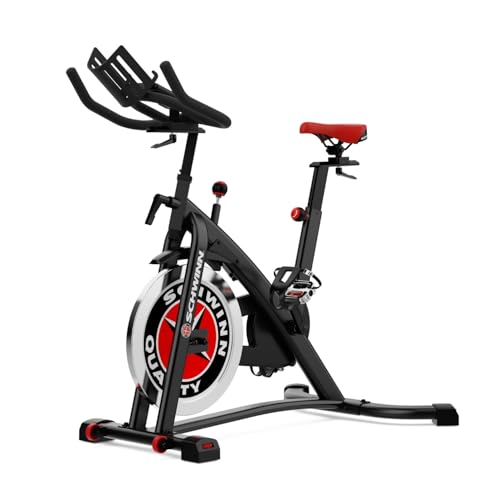 Schwinn 700IC Indoor‑Cycling‑Bike 