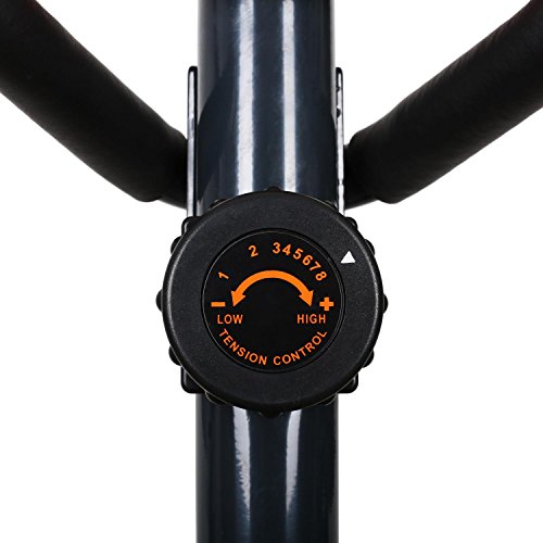 Klarfit Ellifit FX 250 - Nordic Walking 