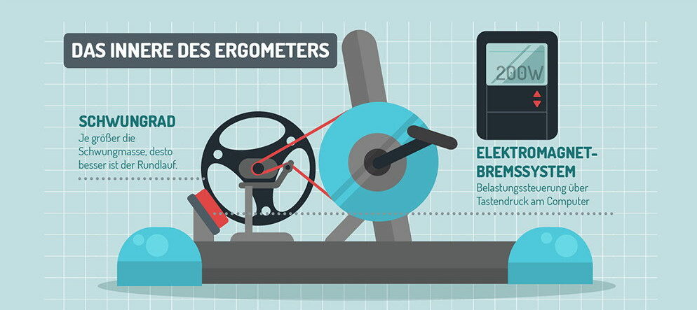 Ergometer Schwungrad - Schwungmasse und Bremssystem